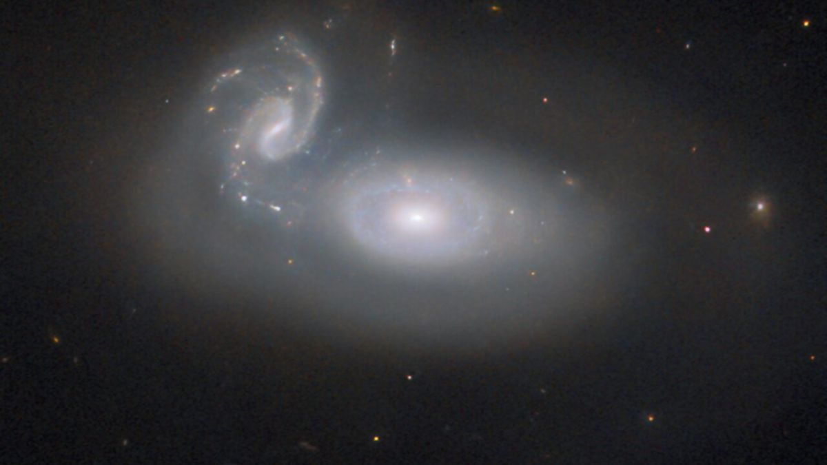 Galaxies are intertwined in ‘the queen’s hair’ in a new image from the Hubble Telescope.