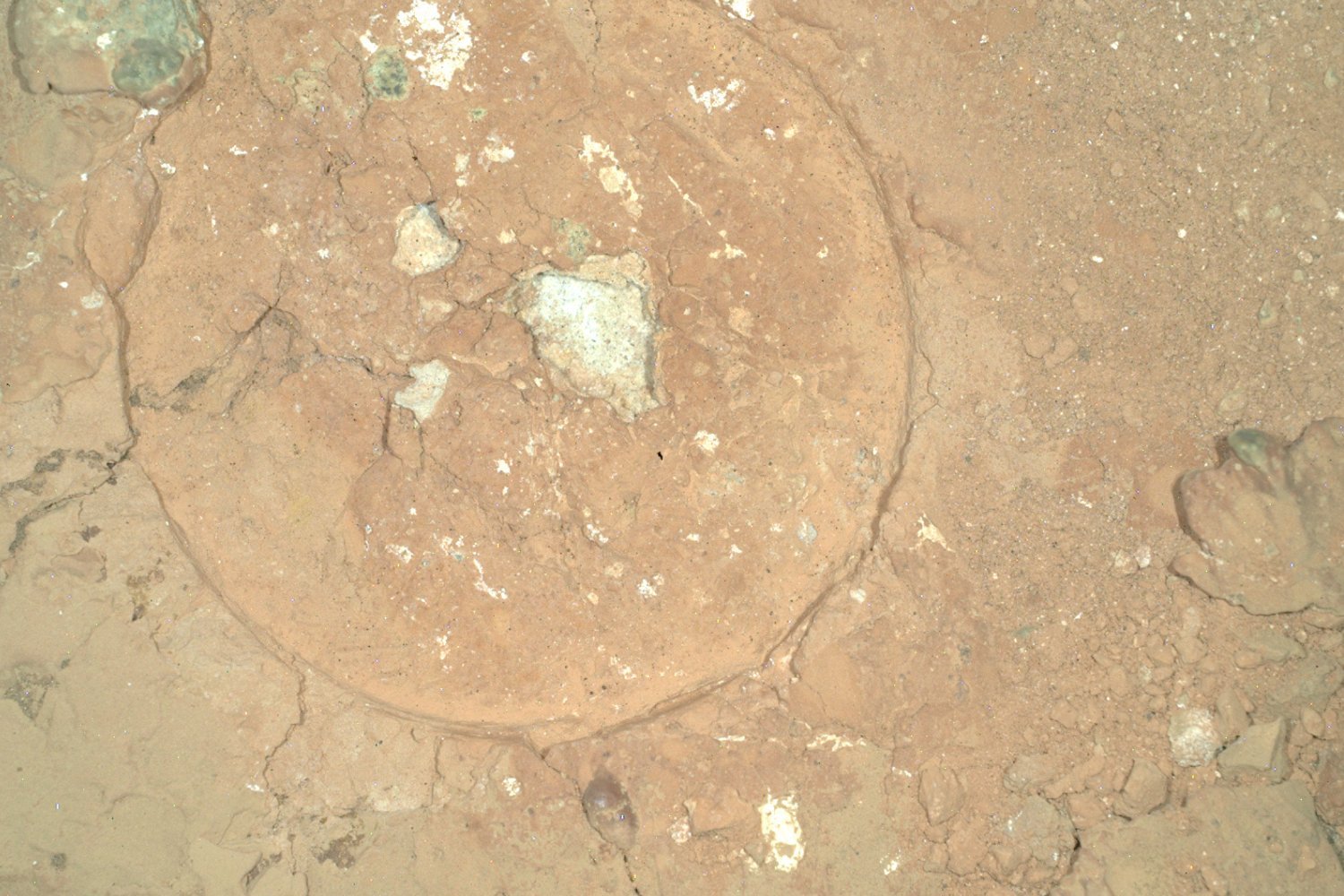 Green Blobs on a Red Planet: NASA Rover Discovers ‘Mysterious’ Rock