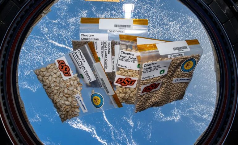 Seeds from the Choctaw Nation that have been in space will be planted on Earth for a STEM experiment.