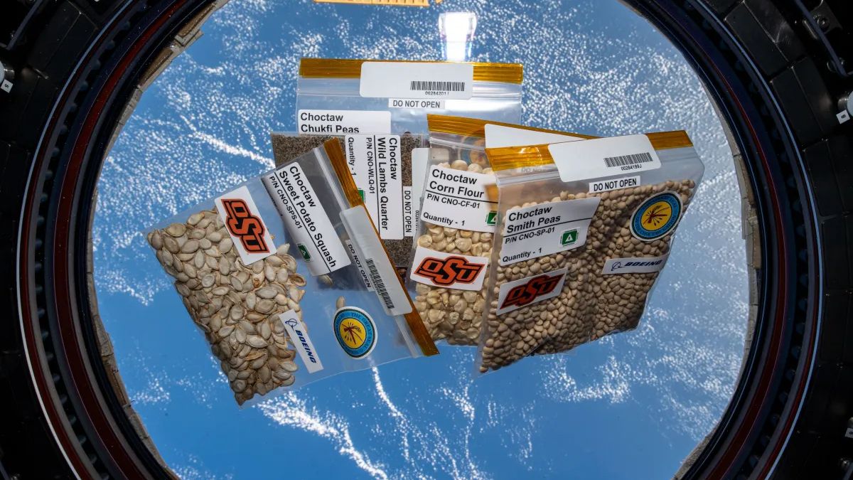 Seeds from the Choctaw Nation that have been in space will be planted on Earth for a STEM experiment.