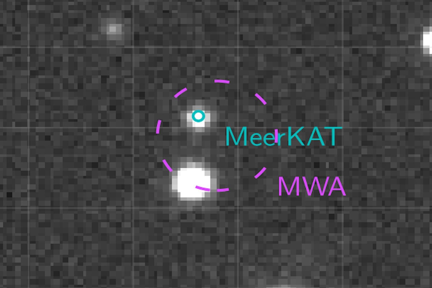 Unexplained Radio Signals Guide Astronomers to an Unexpected Cosmic Duo.