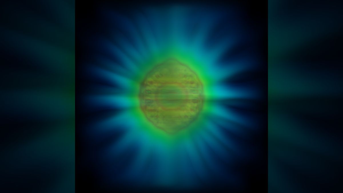 The form of light: Researchers unveil the first-ever image of a single photon.